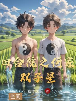 四合院之何家双子星